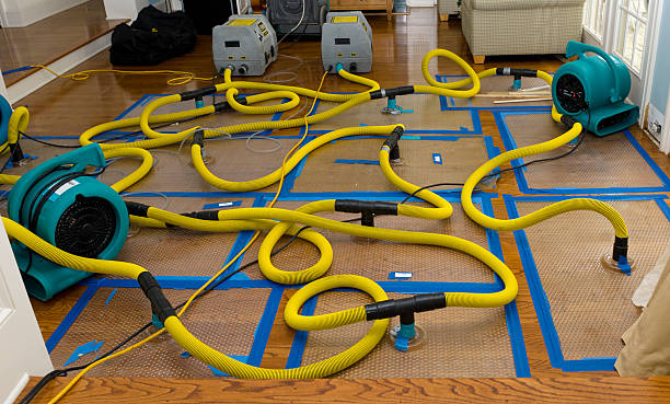 Professional Water Damage Restoration technician working in Sea Girt, NJ